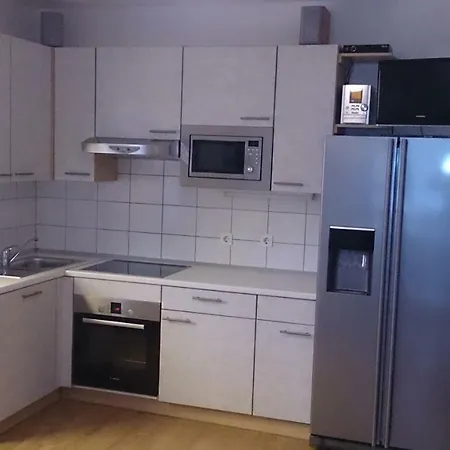 Tisa Apartment *