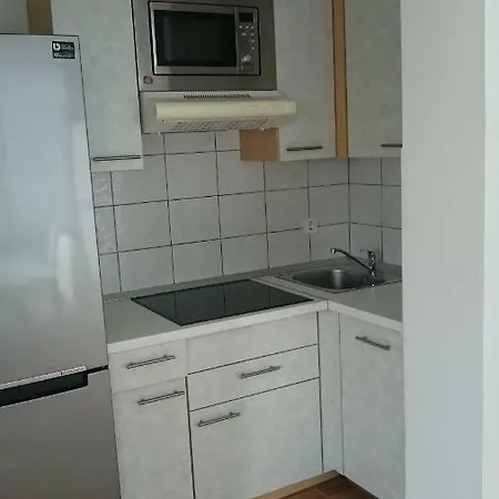 Tisa Apartment *